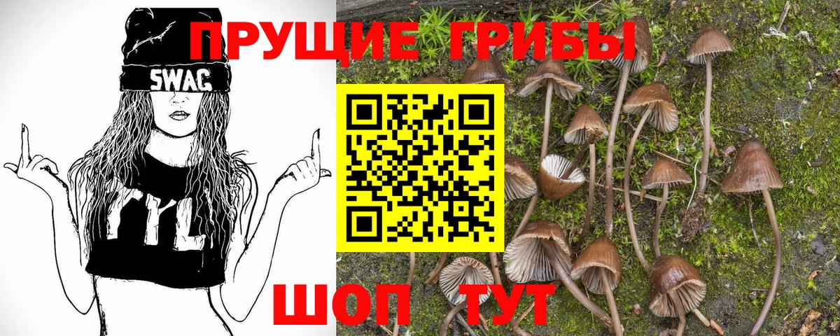 Галлюциногенные грибы мухоморы  Галлюциногенные грибы Psilocybine cubensis  Волжск  Вход с VPN 